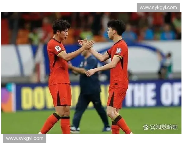 中国足球世界杯征程回顾与未来发展展望全面解析